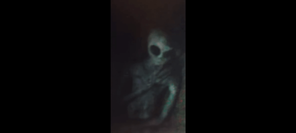 Are these how mantids and gray aliens look like?