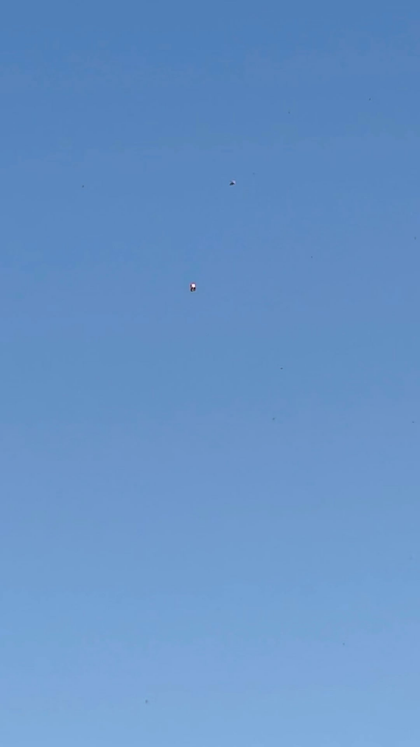 Two "Silver Orbs" manifesting in clear sky - Checked Flightradar24, absolutely nothing above us.