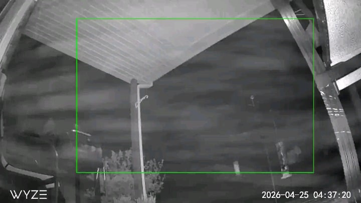 What am I looking at?