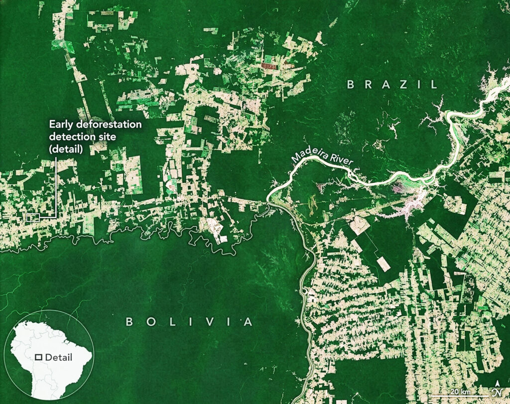 NASA scientists found a faster way to detect forest clearing