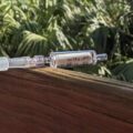 environmental DNA