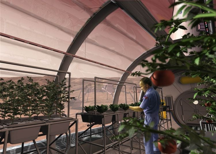 Mars Fungi Could Make Red Planet Regolith Fertile for Crops Artist's rendering of a greenhouse on Mars. (Credit: Science Applications International Corporation (SAIC))