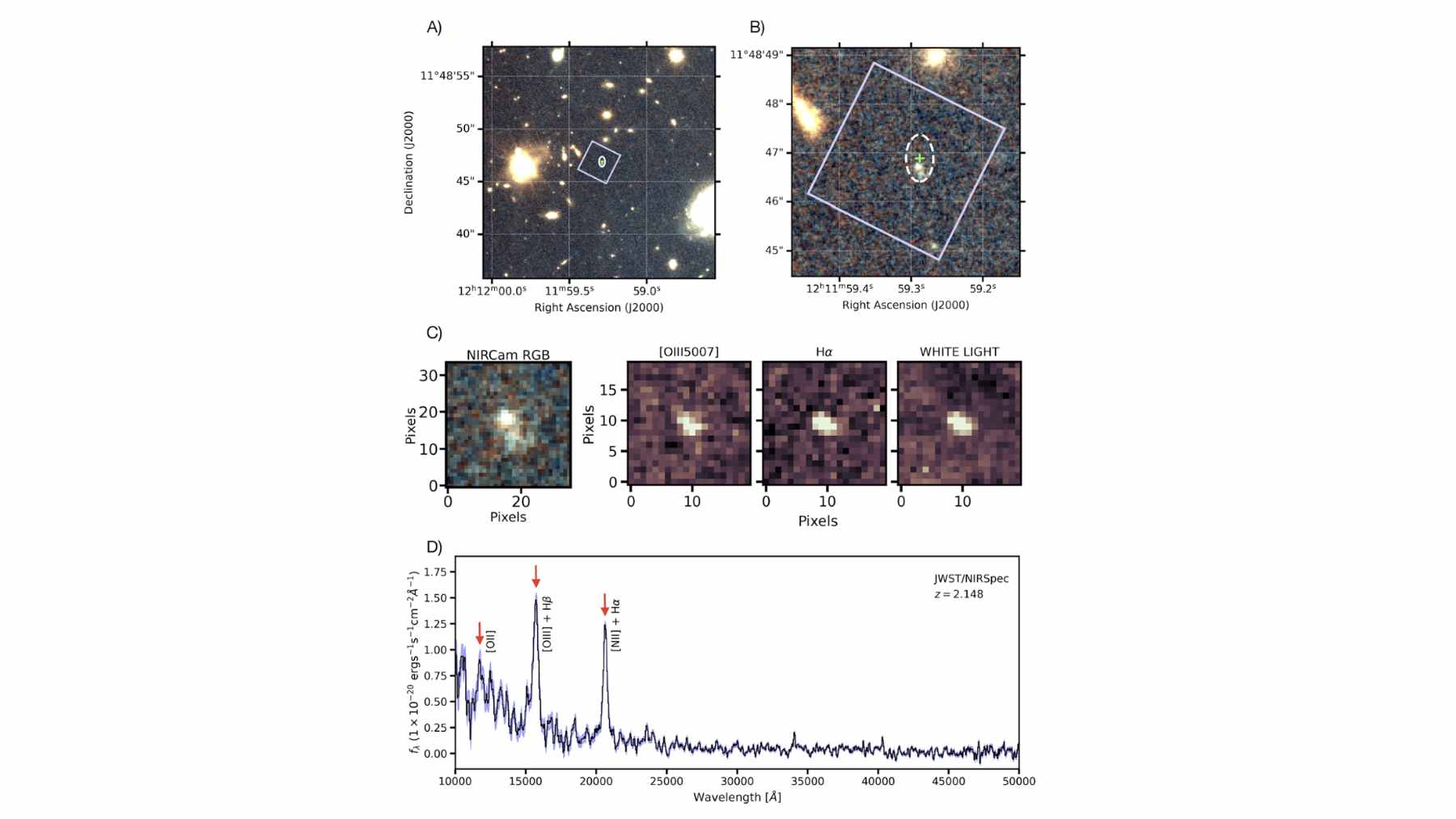 Artist illustration of a fast radio burst emitting from a magnetar within a distant, young star-forming galaxy.