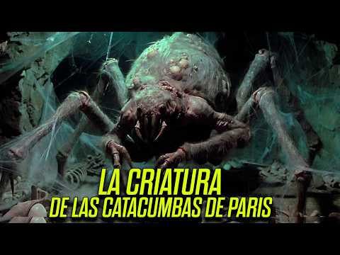 La Leyenda de la Araña Gigante de Las Catacumbas de Paris | Criptidos