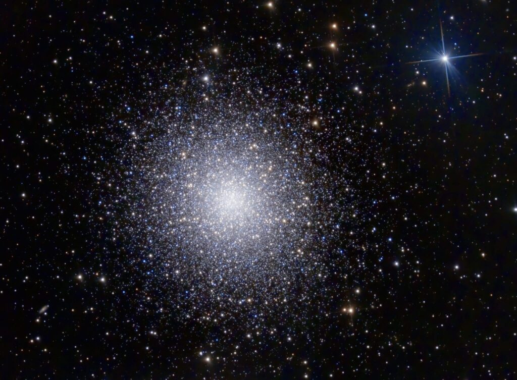 How giant black holes grow in busy star clusters