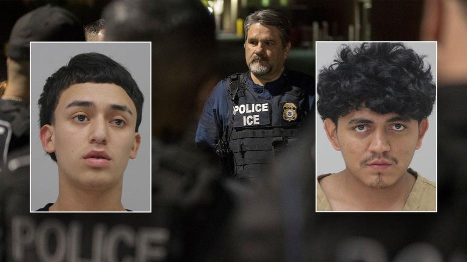 DHS rails against illegal aliens hit with capital murder charges for allegedly killing unborn baby: ‘monsters’ DHS rails against illegal aliens hit with capital murder charges for allegedly killing unborn baby: ‘monsters’