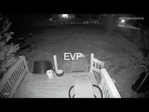 Entity Scares My Dog With Command 2