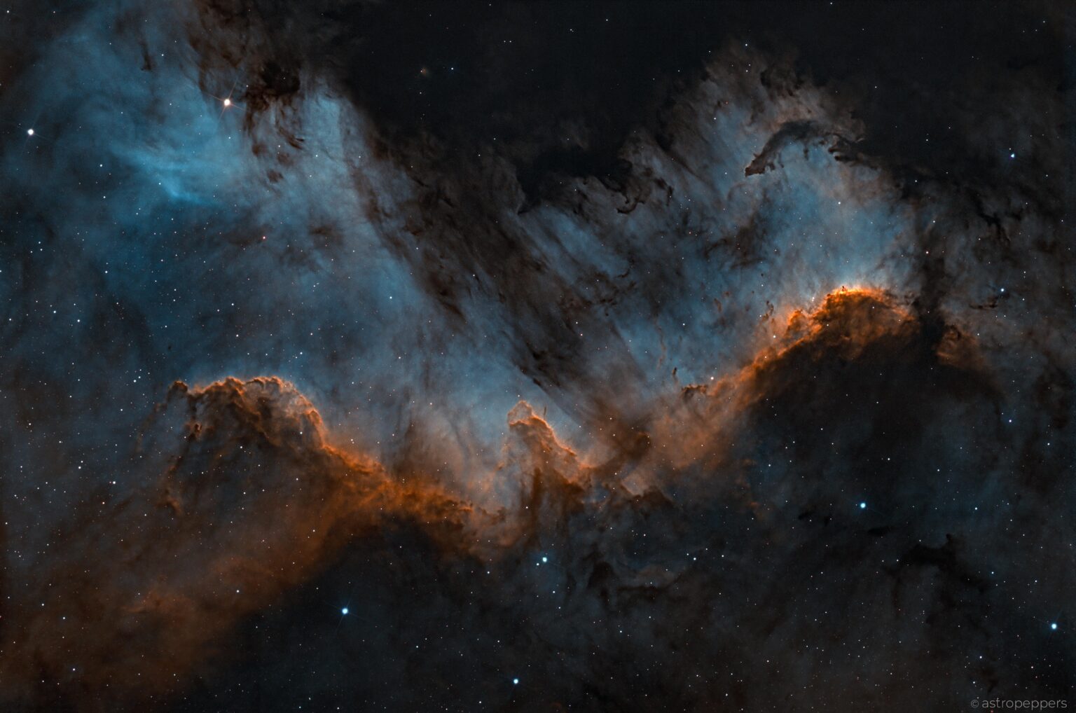 The Cygnus Wall The Cygnus Wall