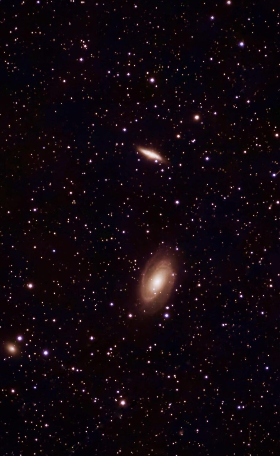Messier 81