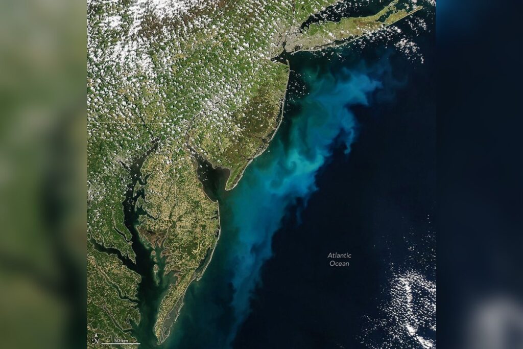 NASA Satellite Images Show Huge Colored Plumes Staining the Ocean NASA Satellite Images Show Huge Colored Plumes Staining the Ocean