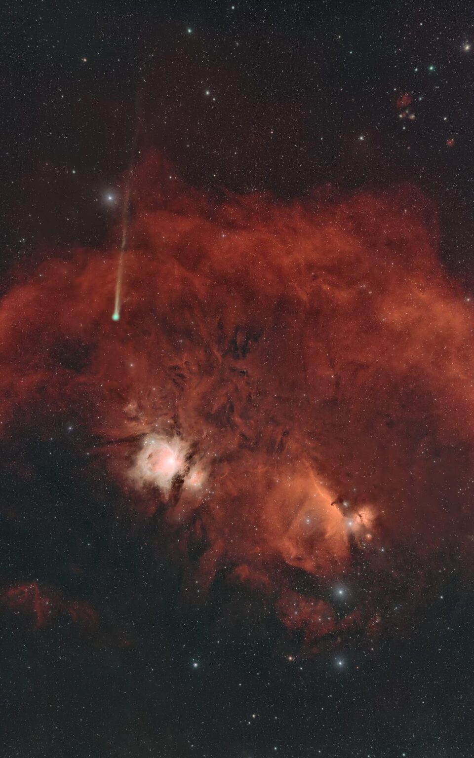 Comet C/2025 R3 (PANSTARRS) against the epic backdrop of hydrogen-alpha emission in the Orion region. By Bruce Charlier
