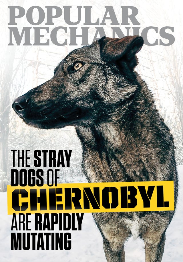 popular mechanics digital issue cover february/march 2026