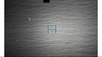 UAP flying over water