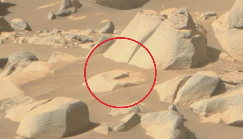 NASA accidentally publishes images of alien movement on mars