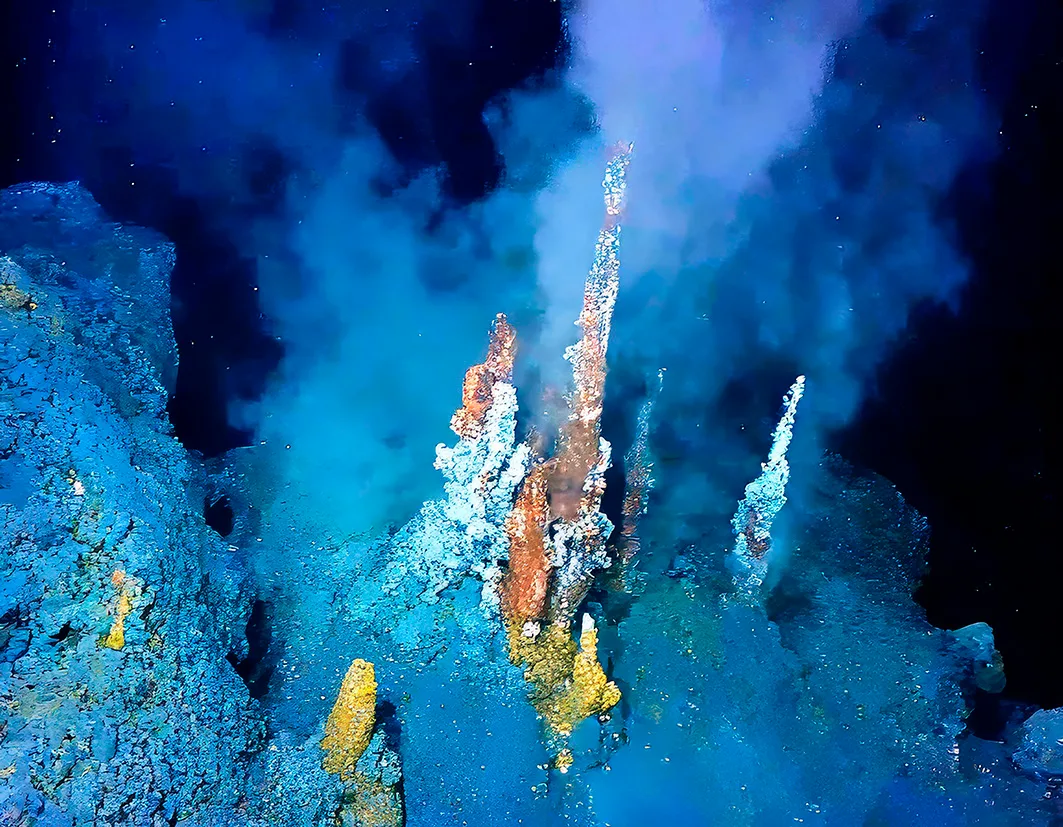 Hydrothermal Vent Deep Sea Ecosystem in Pacific Ocean