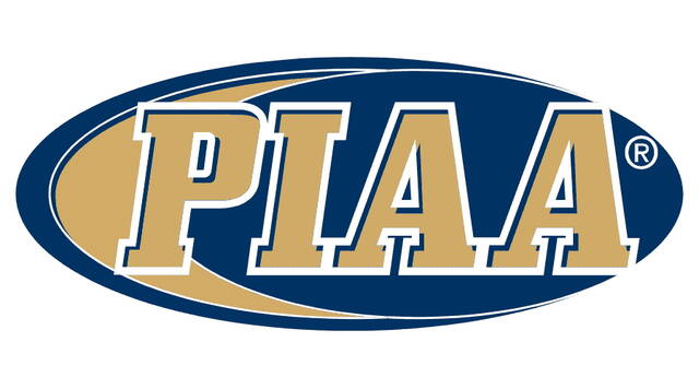 PIAA boys volleyball: Comets swept by Manheim Central in quarterfinals PIAA boys volleyball: Comets swept by Manheim Central in quarterfinals