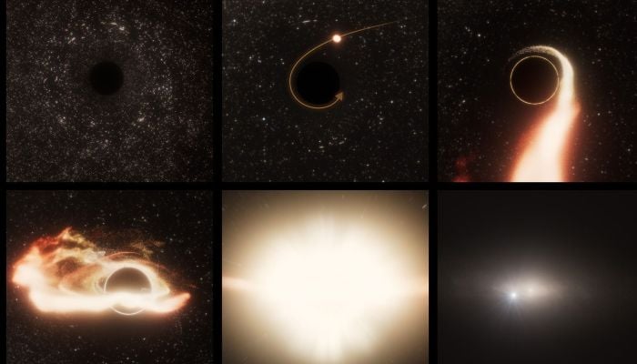Study reveals millions of planets may form near black holes