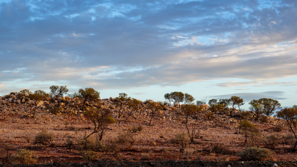Valiant Gold Comet Gold Project in Murchison, Western Australia