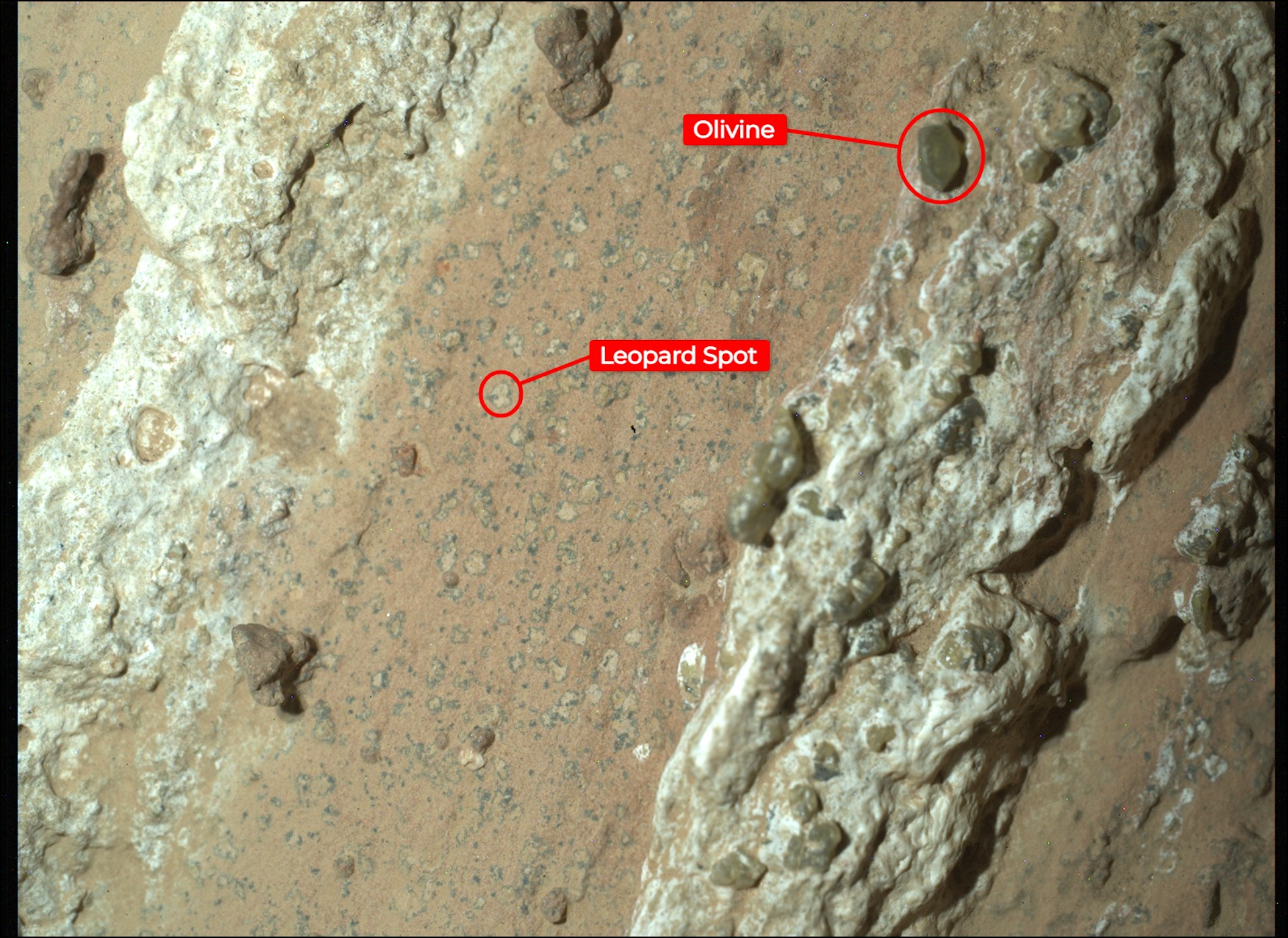Nasa announced that Cheyava Falls appeared to preserve a potential biosignature – so-called 'leopard spots' which are mineral rings that on Earth are often formed by microbial activity