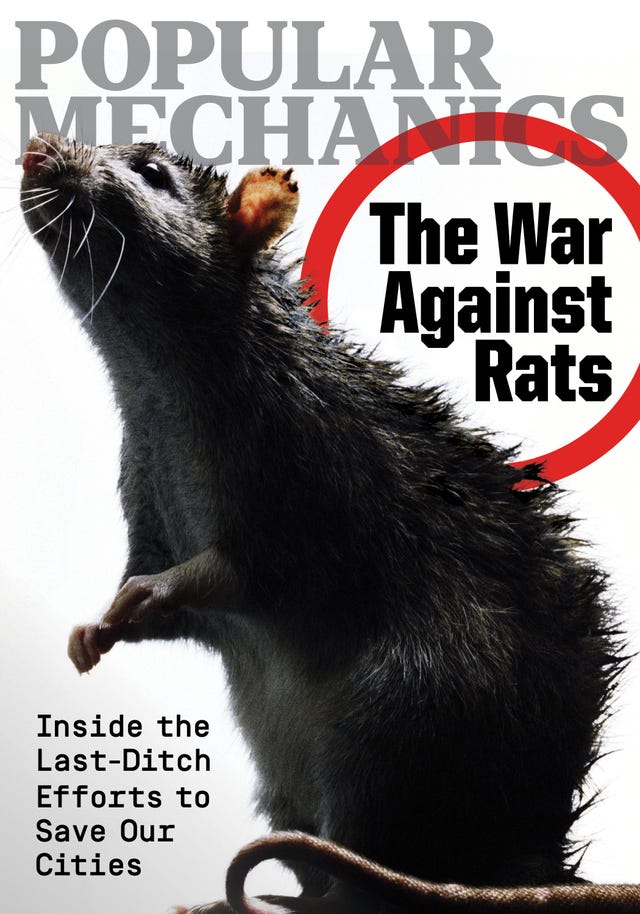 Popular Mechanics October/November 2023 Cover popular mechanics octobernovember 2023 cover