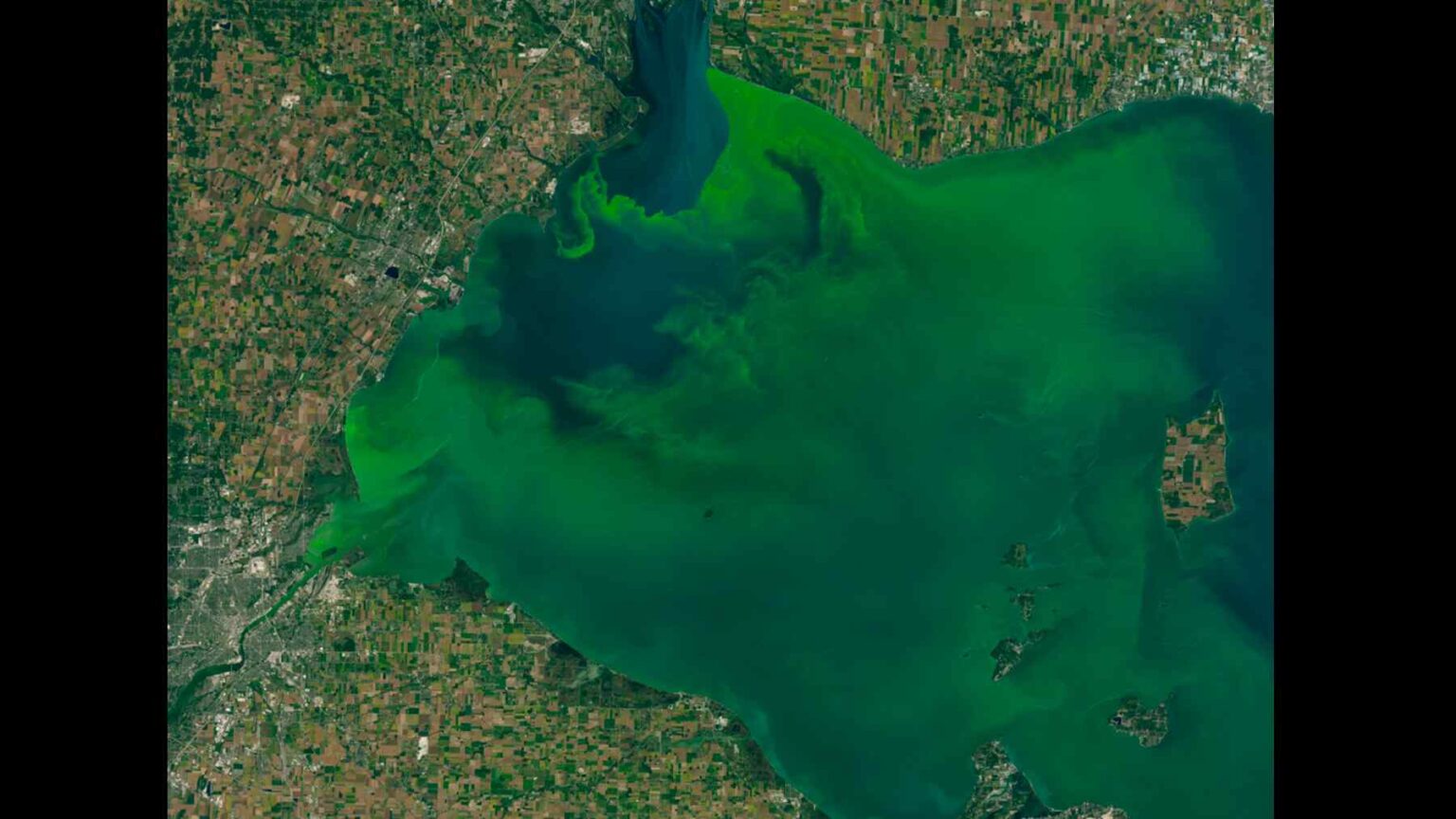 NASA found a way to spot deadly algal blooms from space before they reach the shore Credits: NASA, Landsat 8