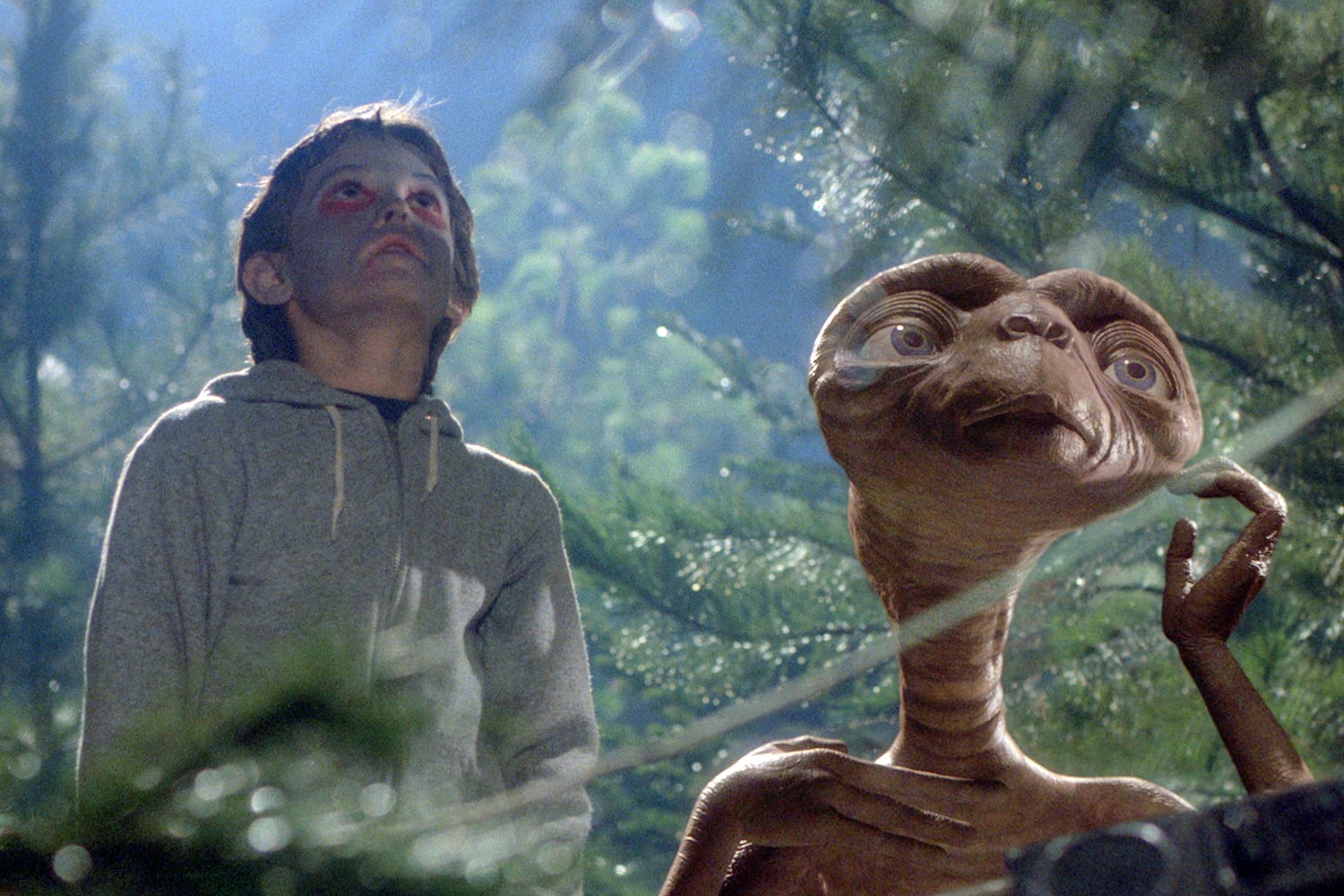 A young boy wearing a gray zip-up hoodie and red smudges around his eyes stands in a wooded area, looking upward and to the right with a wide-eyed expression. Next to him is E.T., a brown, wrinkly, non-human creature with a long neck, a wide head, large blue eyes, and flat facial features, also looking upward. The background is filled with blurry green pine trees under soft, hazy lighting.