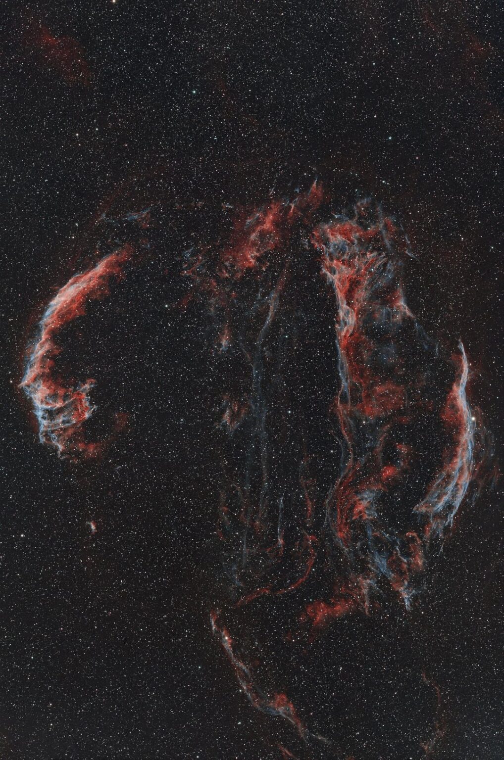 The Veil Nebula Complex The Veil Nebula Complex