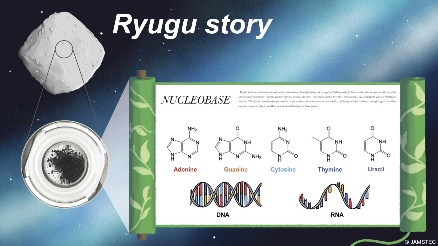 Ryugu asteroid samples contain all DNA and RNA building blocks, bolstering origin-of-life theories Ryugu asteroid samples contain all DNA and RNA building blocks, bolstering origin-of-life theories