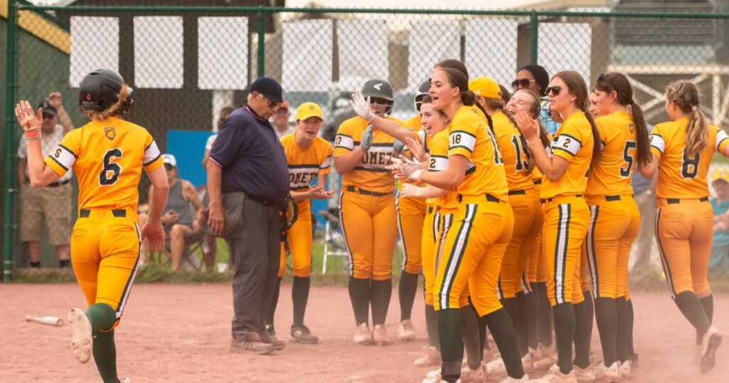 Comets roll past Redhawks 12-1 to advance in Division I playoffs | Sports Comets roll past Redhawks 12-1 to advance in Division I playoffs
