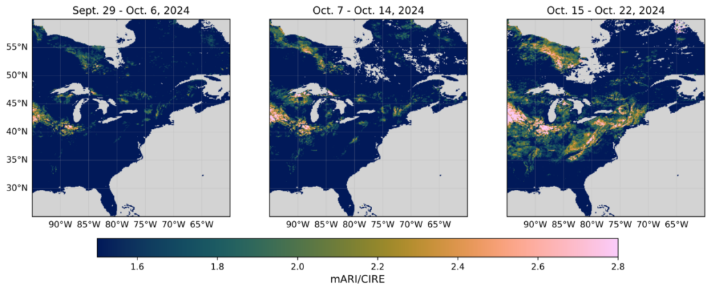 For The Leaf Peepers: How NASA’s PACE Is Improving Fall Color Forecasts three maps of the eastern United States generated using PACE data and showing increasing presence of anthocyanins, the red in fall colors, from the first to the third weeks of October 2024
