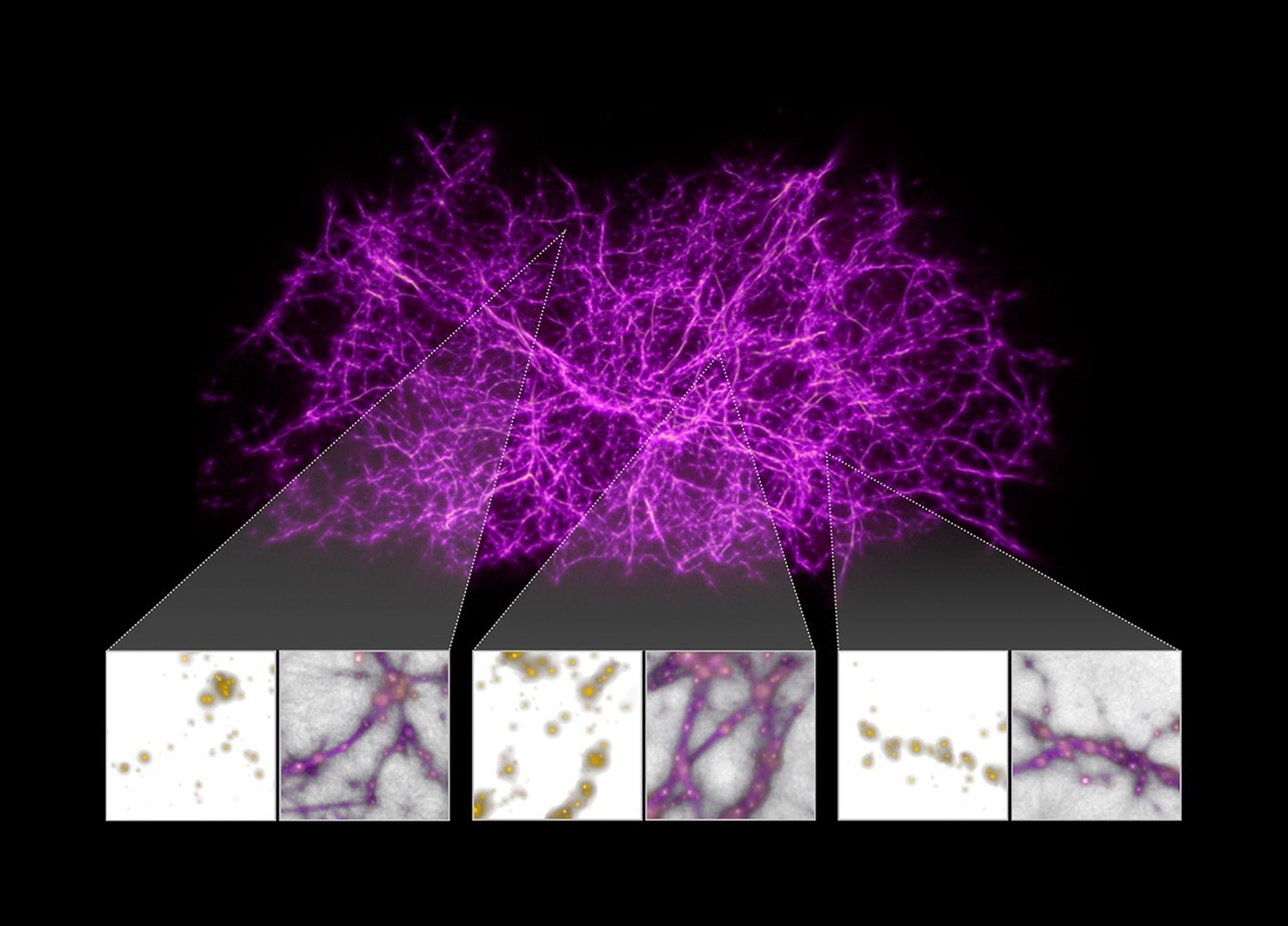 Black background with a series of bright-pink filaments radiating out randomly in all directions. Below are three boxes that looks at details of the filaments.