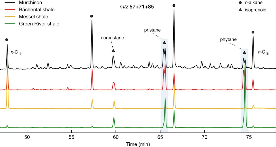 GC-MS gas chromatograms (m/z 57+71+85) of a Murchison extract, compared to that in extracts of the Bächental, Messel and Green River oil shales. (CREDIT: Earth and Planetary Science Letters)
