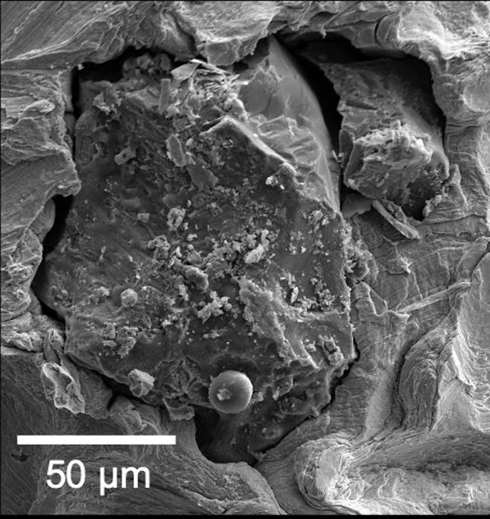 A grain of lunar soil brought back by Apollo 17 (Jennika Greer, Field Museum)