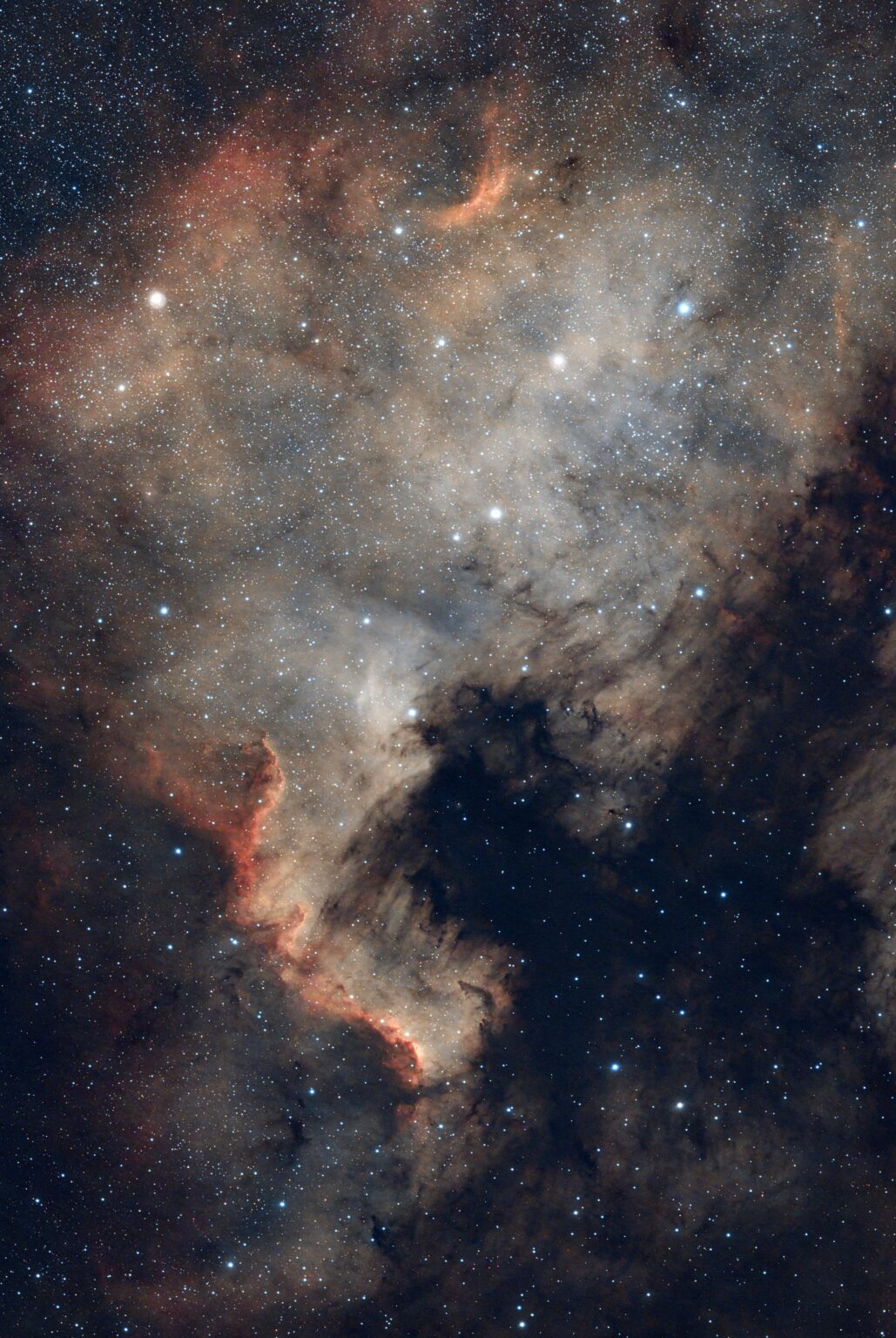 North American Nebula North American Nebula