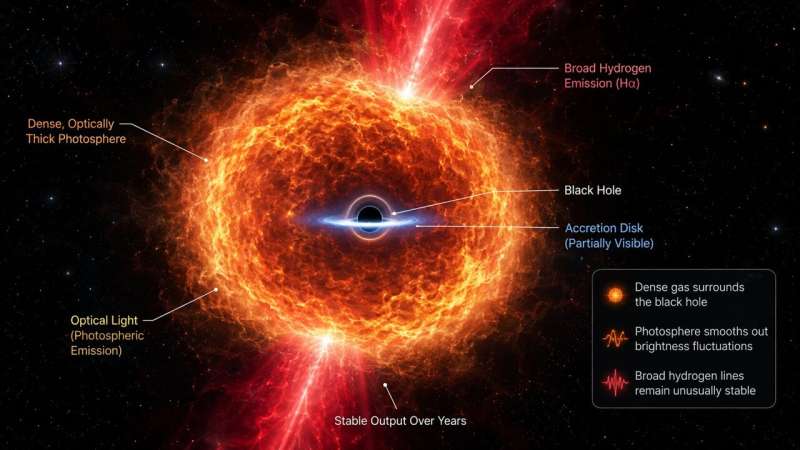 Forget flickering, these "Little Red Dots" are the universe's most stoic black holes.