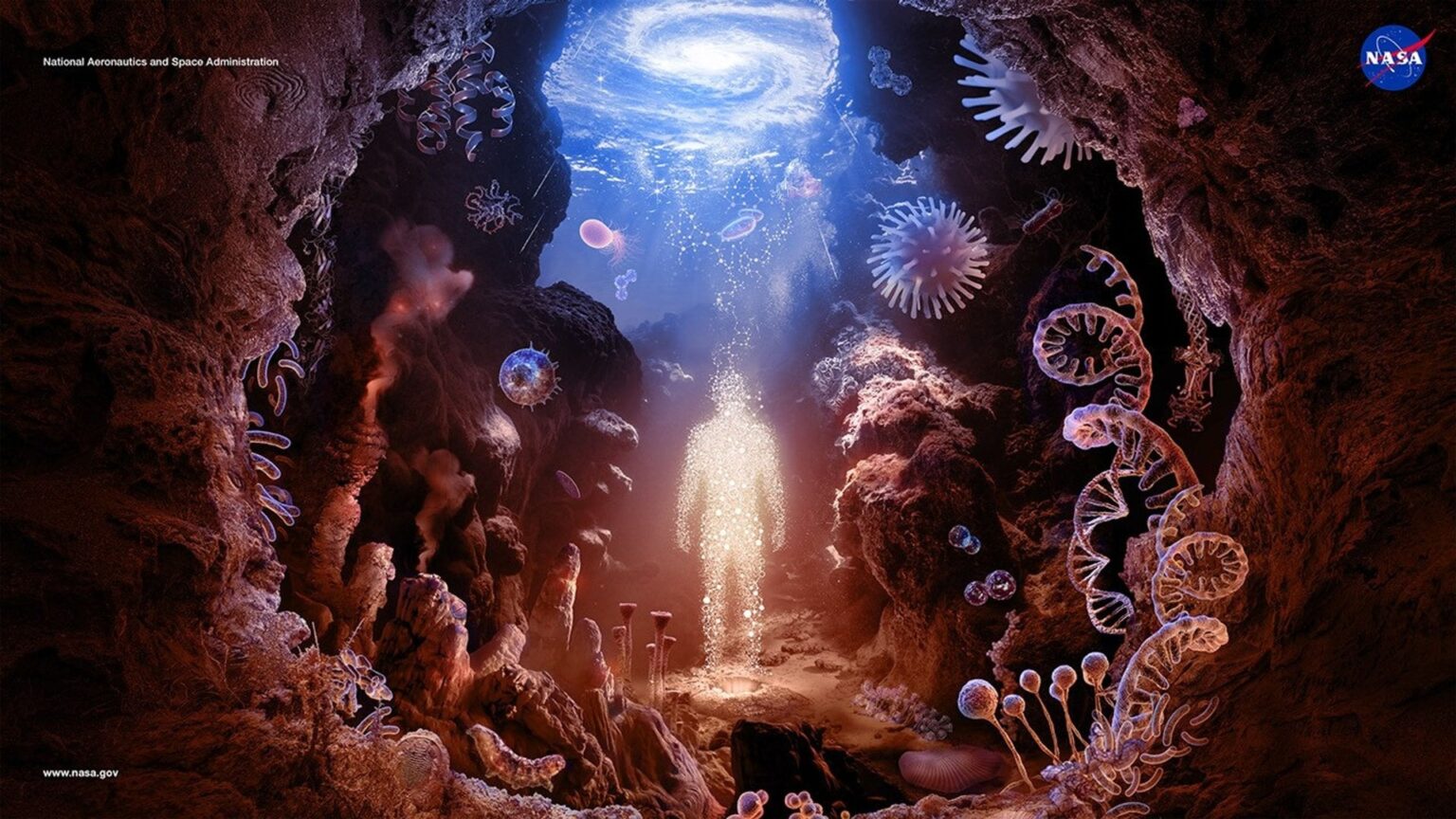NASA Study Challenges Theories on Where the Ingredients for Life Came From NASA Study Challenges Theories on Where the Ingredients for Life Came From
